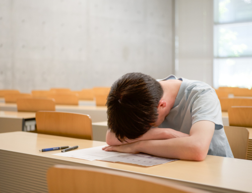 Seis claves para no desertar y superar el primer año en educación superior